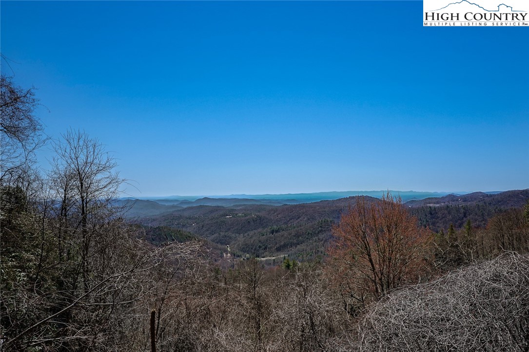 Blackberry Ridge Drive Boone, NC 28607 - Photo 5 of 44 Gallery Image 5