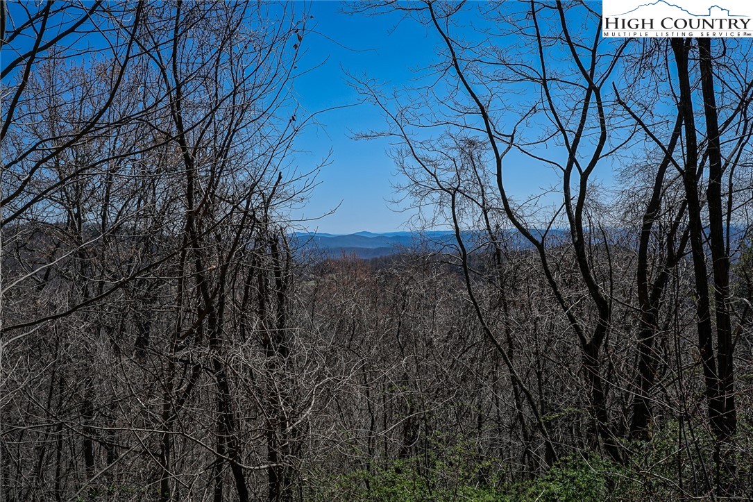 Blackberry Ridge Drive Boone, NC 28607 - Photo 6 of 44 Gallery Image 6
