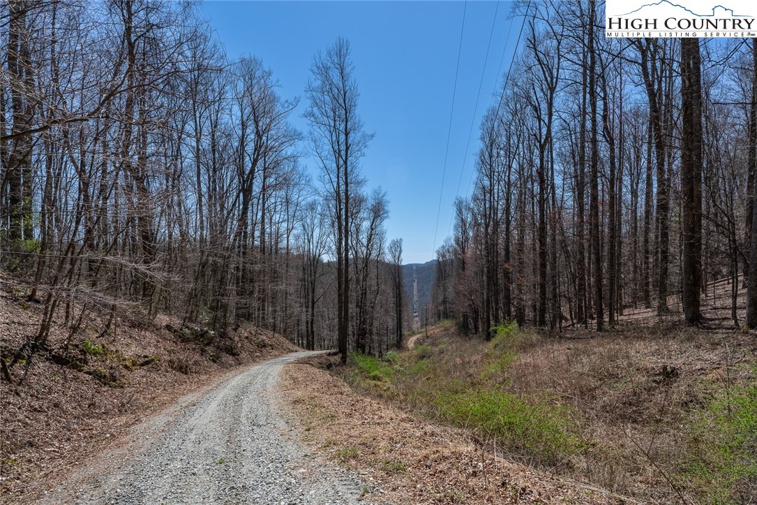 Blackberry Ridge Drive Boone, NC 28607 - Photo 7 of 44 Gallery Image 7