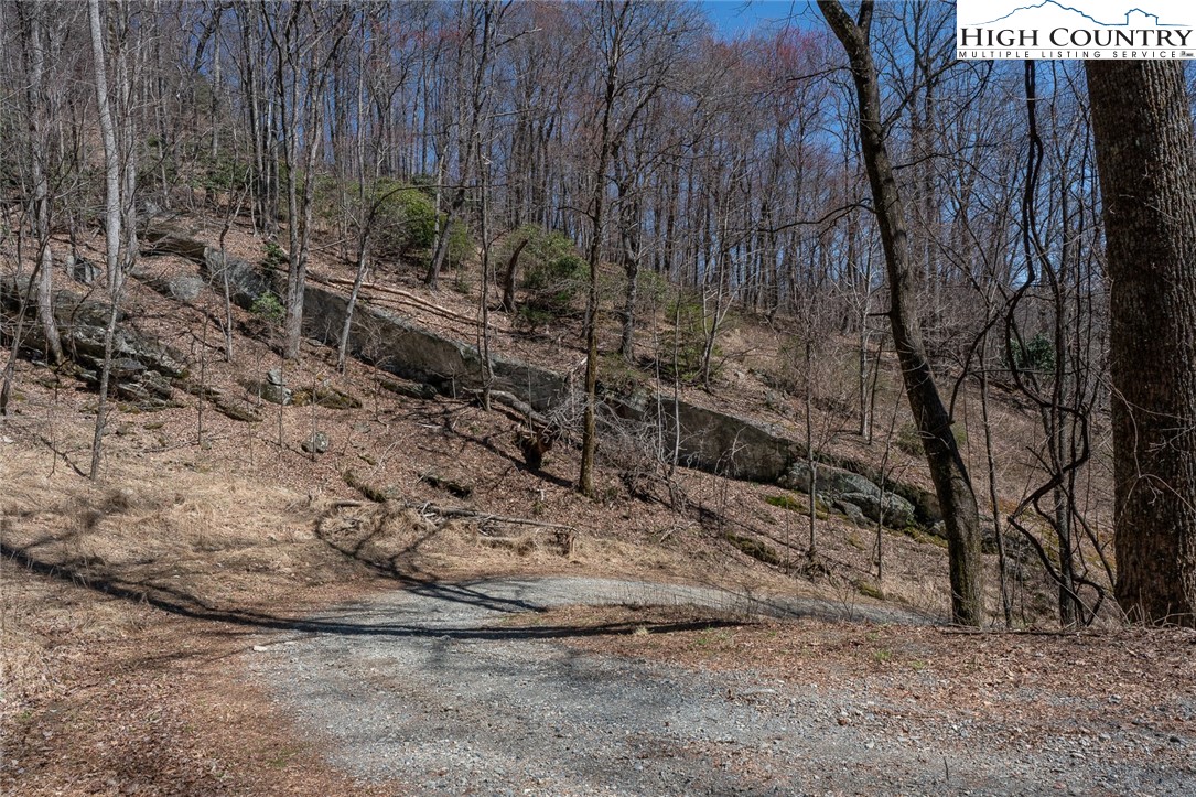 Blackberry Ridge Drive Boone, NC 28607 - Photo 8 of 44 Gallery Image 8
