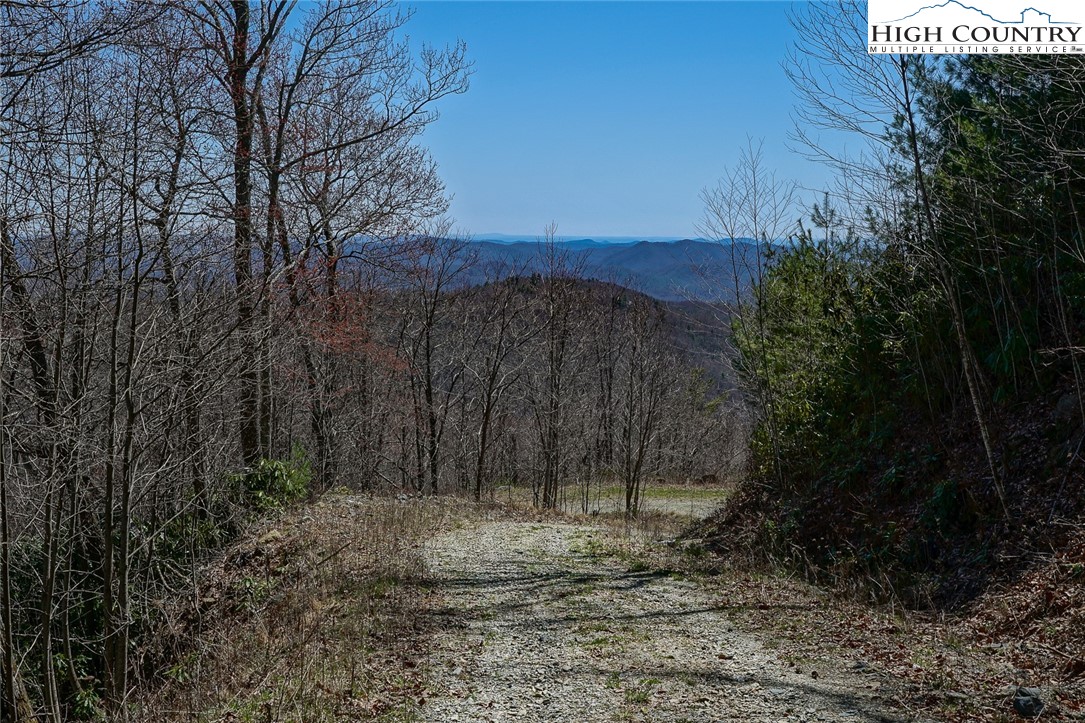 Blackberry Ridge Drive Boone, NC 28607 - Photo 9 of 44 Gallery Image 9