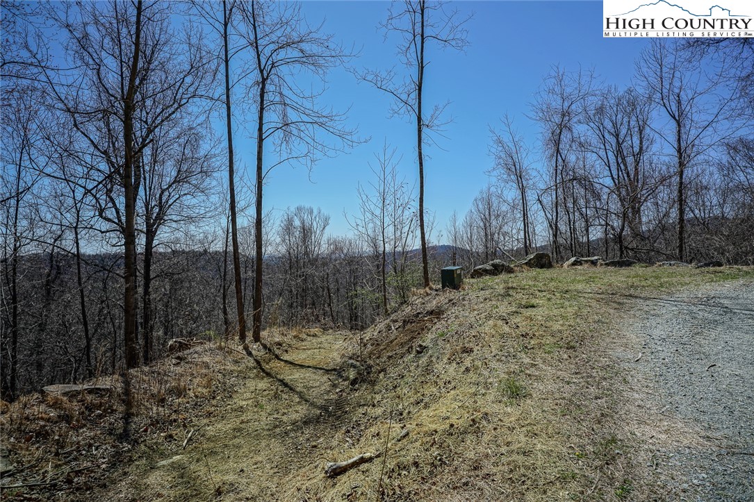 Blackberry Ridge Drive Boone, NC 28607 - Photo 10 of 44 Gallery Image 10