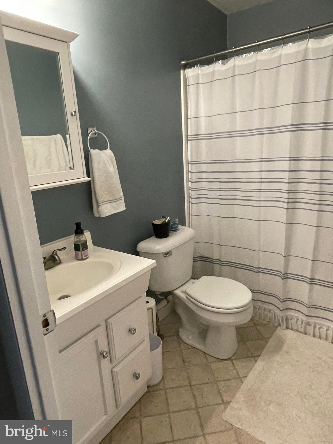 100 Noble Street Lititz, PA 17543 - Photo 5 of 6 Main Bathroom
