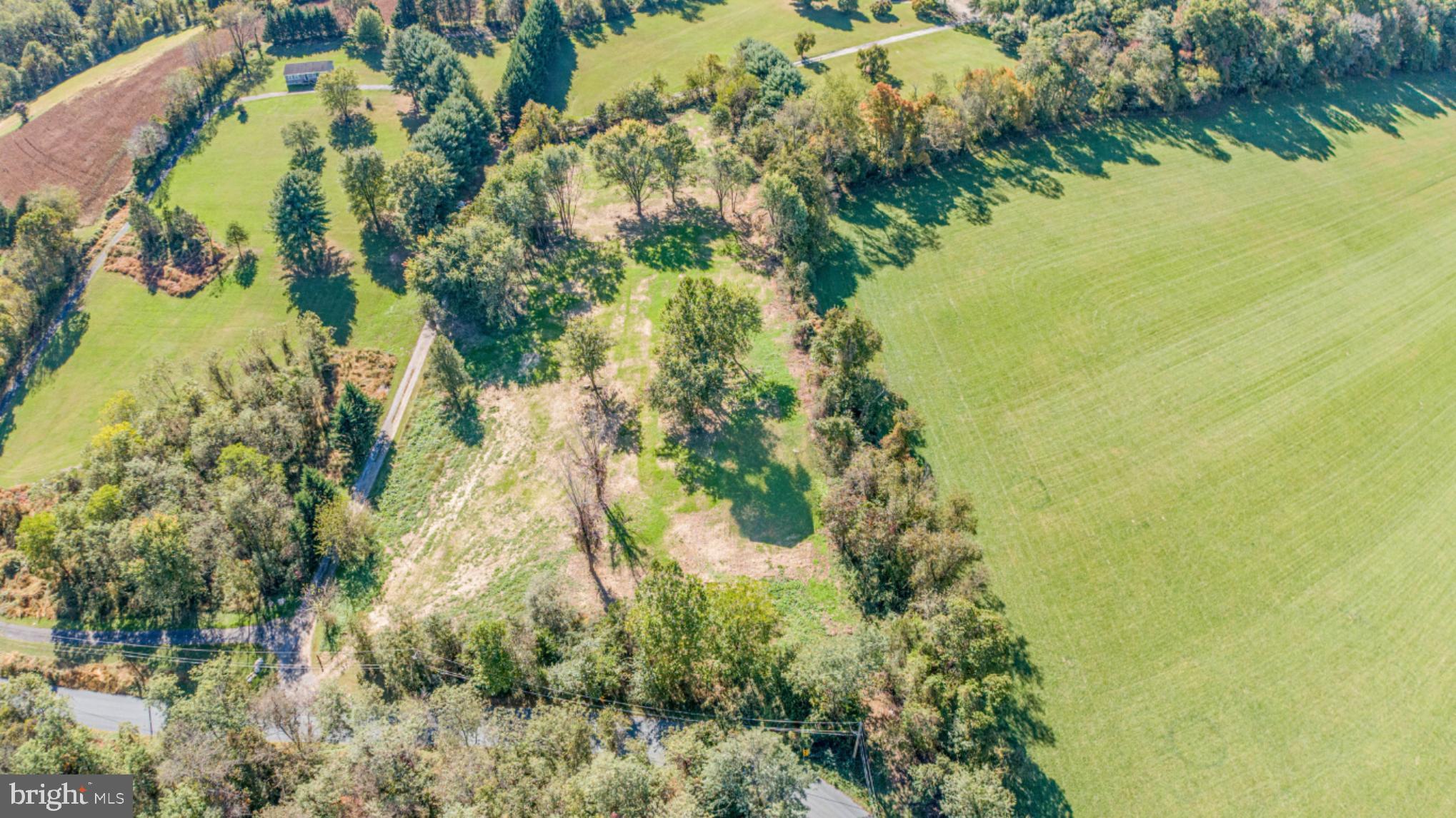 3756 Davis Corner Road Street, MD 21154 - Photo 49 of 50 Lush green landscape with serene tree cover.