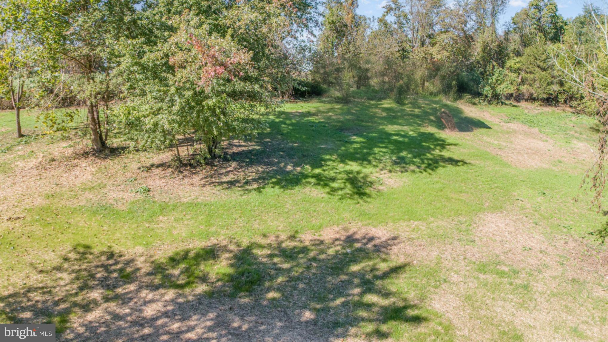 3756 Davis Corner Road Street, MD 21154 - Photo 9 of 50 Lush green landscape with scattered trees.