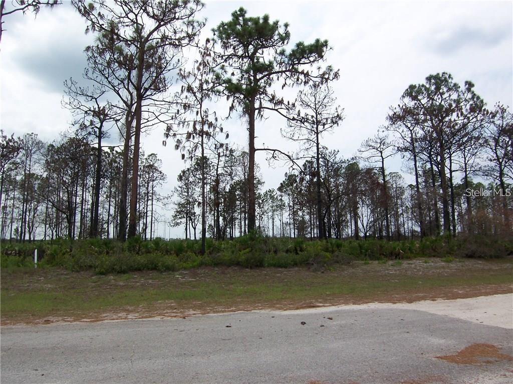 0 Allamanda Drive Lake Wales, FL 33855 - Photo 1 of 1 a view of a park