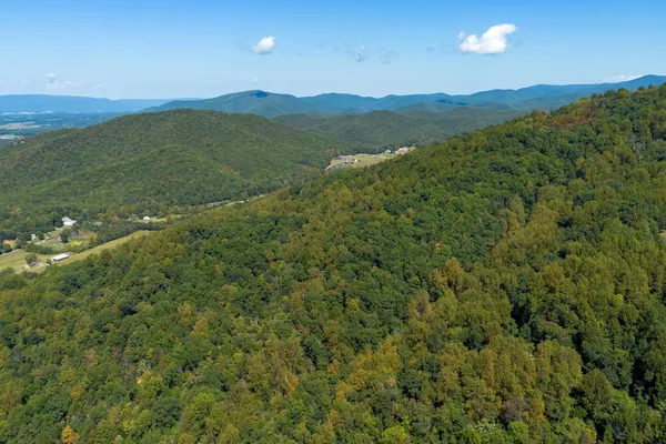 $89,000 | Tbd Forest Homes Drive, Elkton, VA 22827