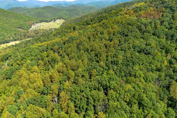 a view of a large yard with lots of green space