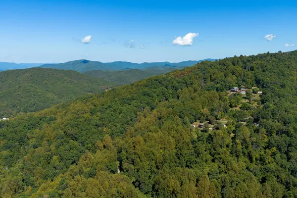 a view of a lush green forest with lots of trees
