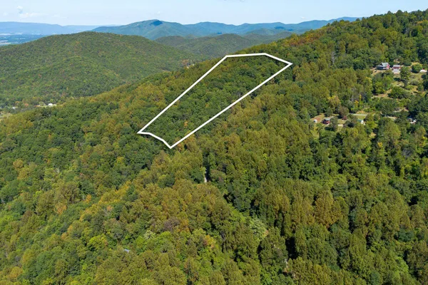 a view of a lush green hillside and a houses