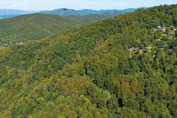 a view of a lush green forest with a mountain