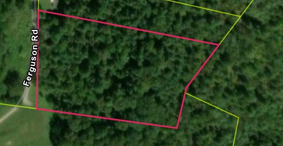 0 Ferguson Road Cornersville, TN 37047 - Photo 1 of 11