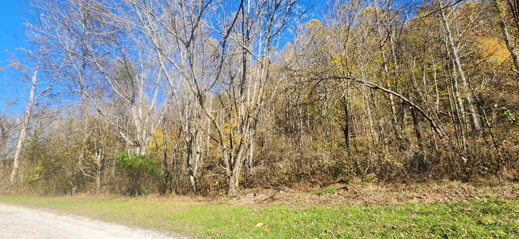 0 Ferguson Road Cornersville, TN 37047 - Photo 5 of 11