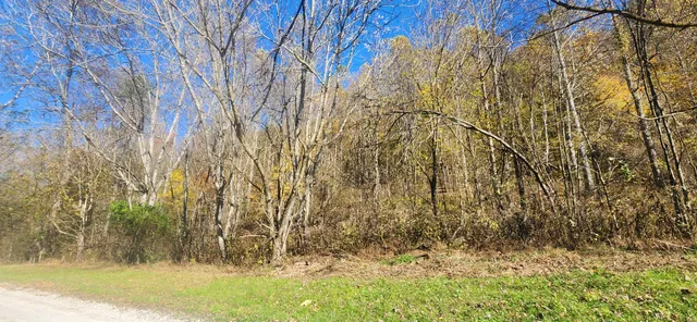 $60,000 | 0 Ferguson Road, Cornersville, TN 37047