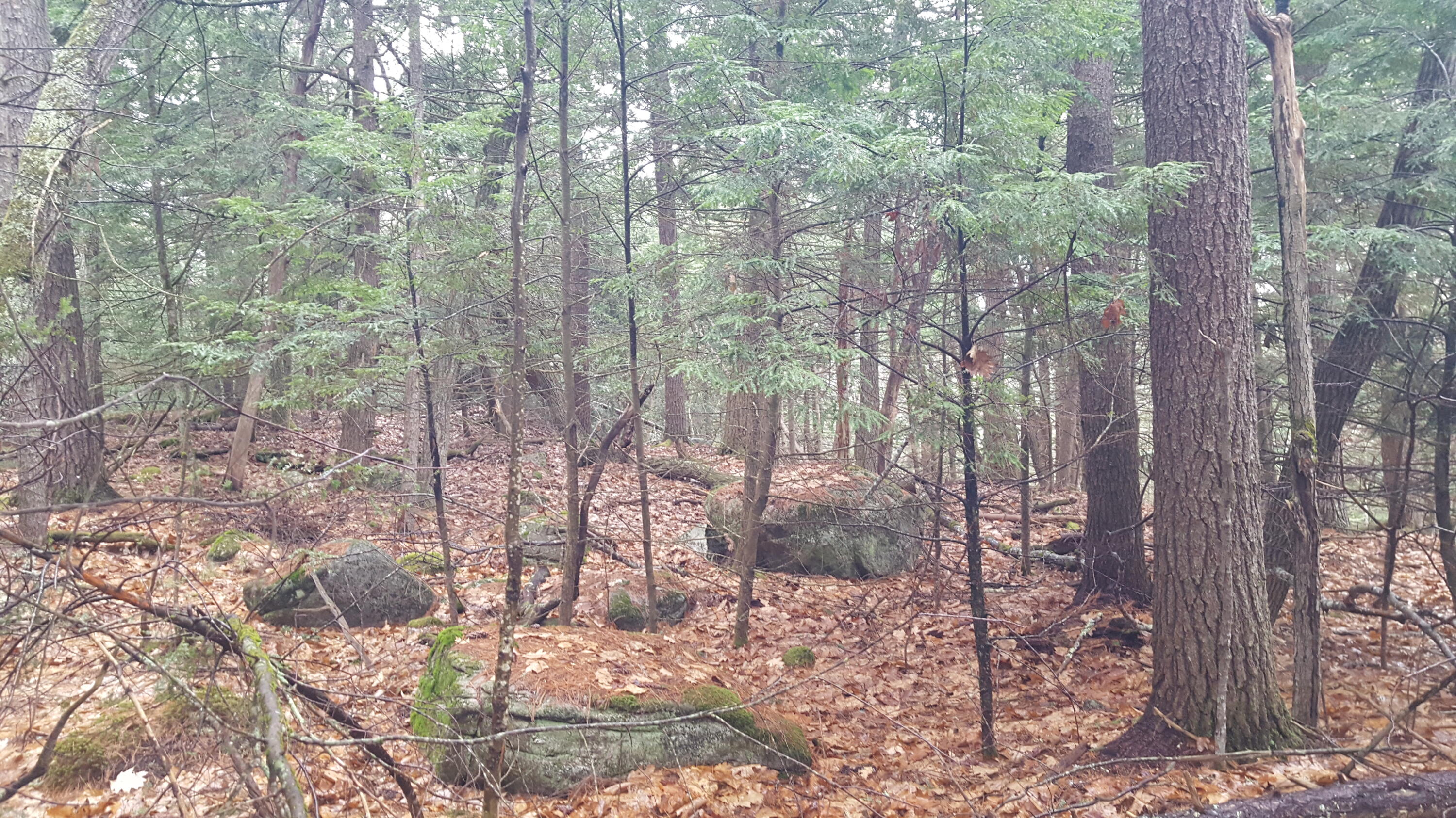 53 Johnson Road Windham, ME 04062 - Photo 11 of 22
