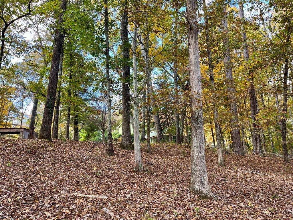159 May Lane Zebulon, GA 30295 - Photo 102 of 105