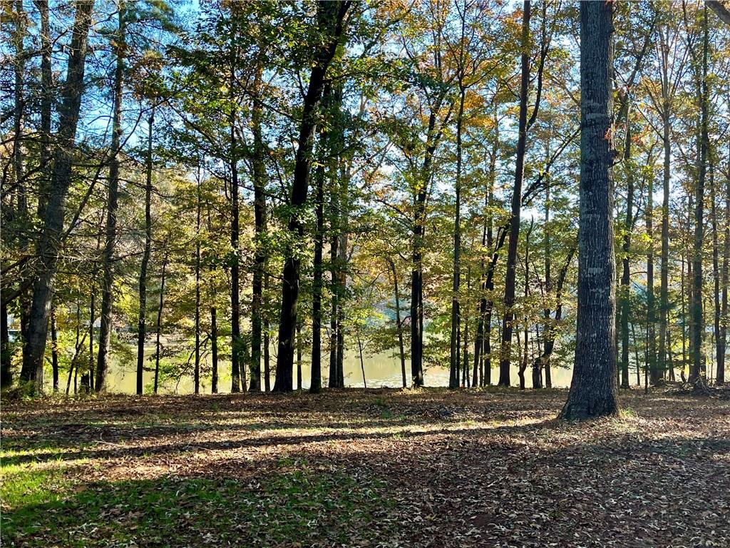 159 May Lane Zebulon, GA 30295 - Photo 5 of 105