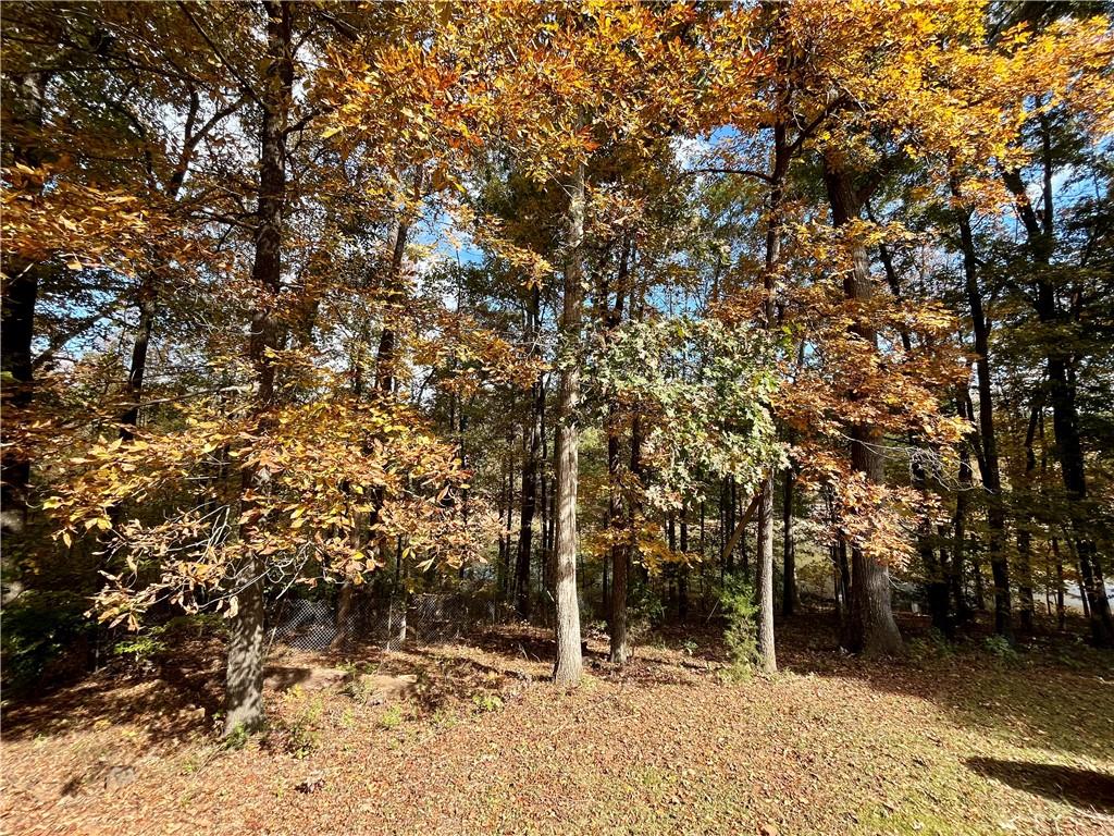 159 May Lane Zebulon, GA 30295 - Photo 85 of 105