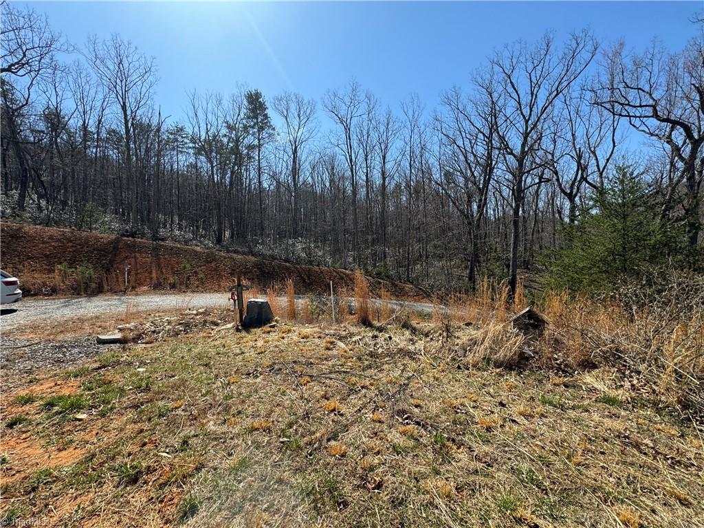 2558 YMCA Camp Road King, NC 27021 - Photo 13 of 26