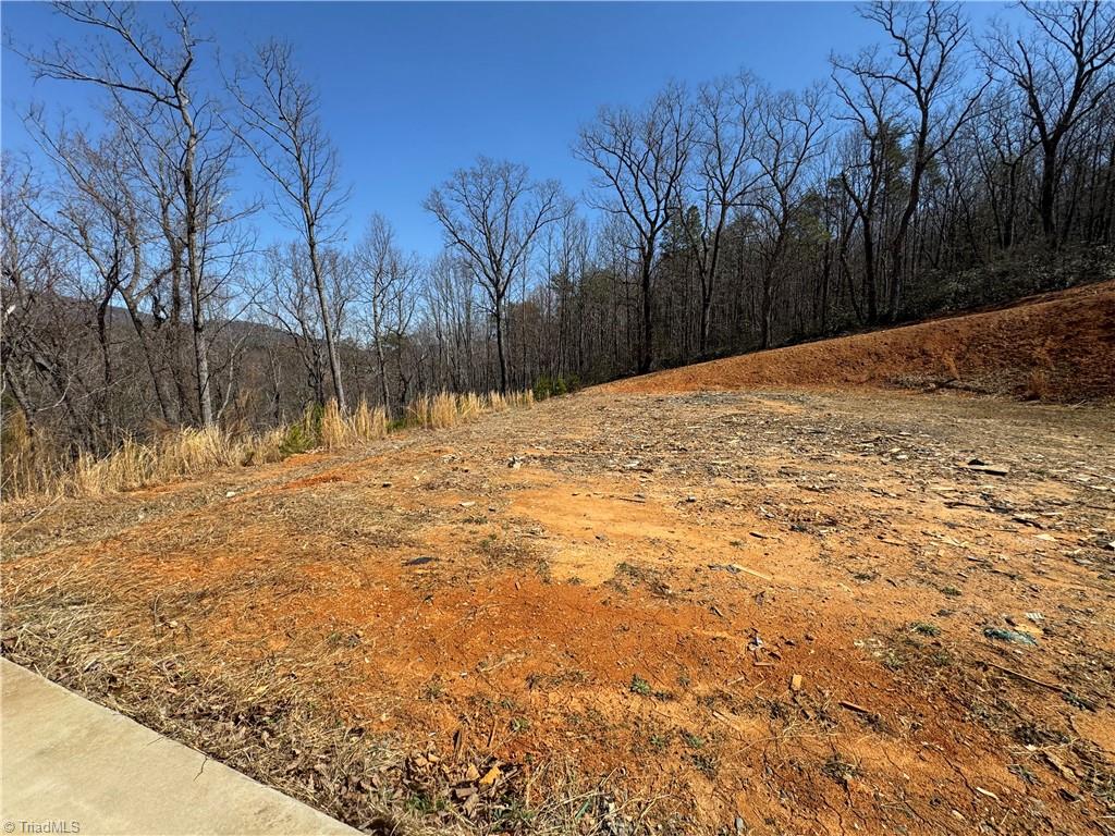 2558 YMCA Camp Road King, NC 27021 - Photo 22 of 26