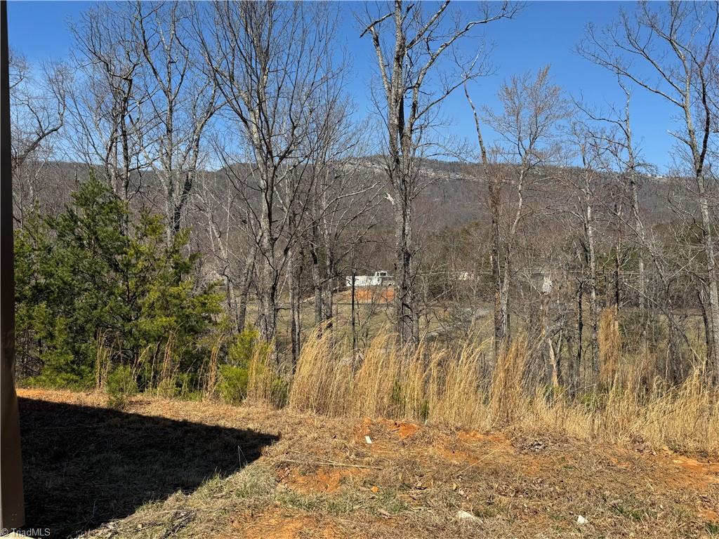 2558 YMCA Camp Road King, NC 27021 - Photo 24 of 26