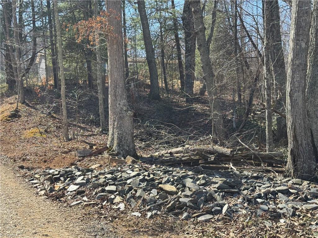 2558 YMCA Camp Road King, NC 27021 - Photo 4 of 26