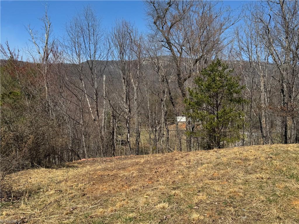2558 YMCA Camp Road King, NC 27021 - Photo 5 of 26