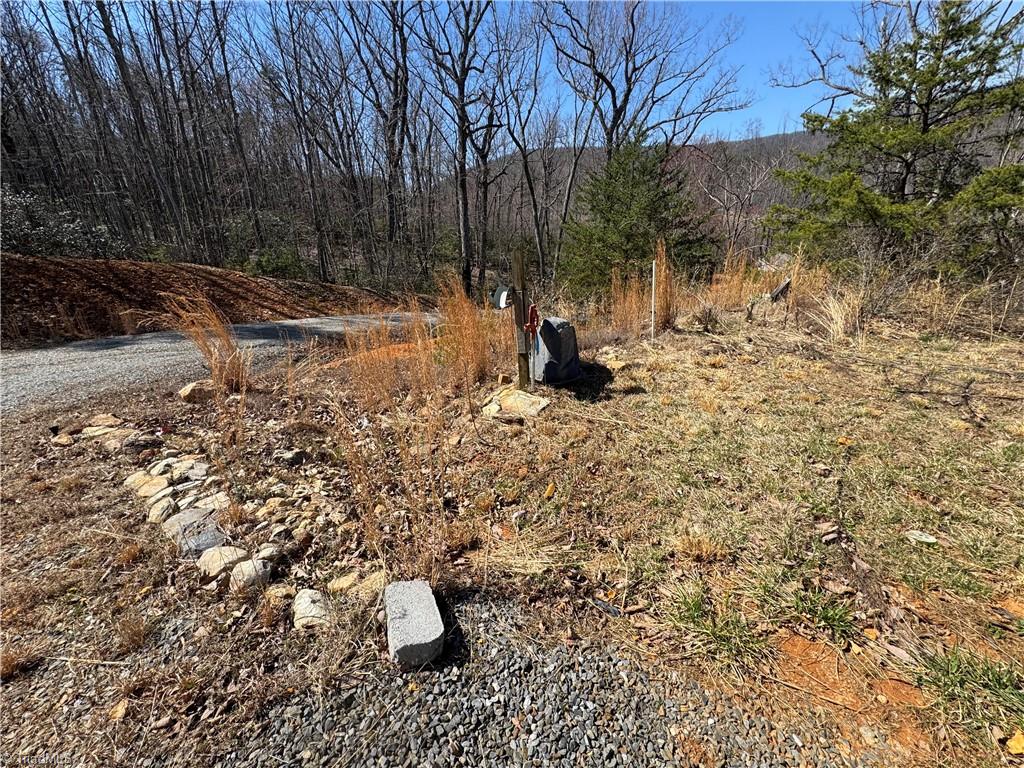 2558 YMCA Camp Road King, NC 27021 - Photo 10 of 26