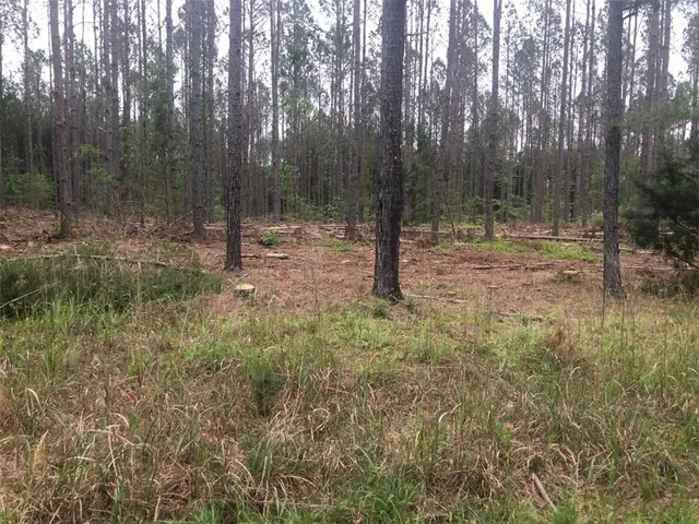 $66,825 | 0 Mike McConnell Avenue, Iva, SC 29655