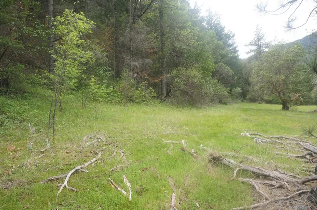 a view of a yard with an outdoor space