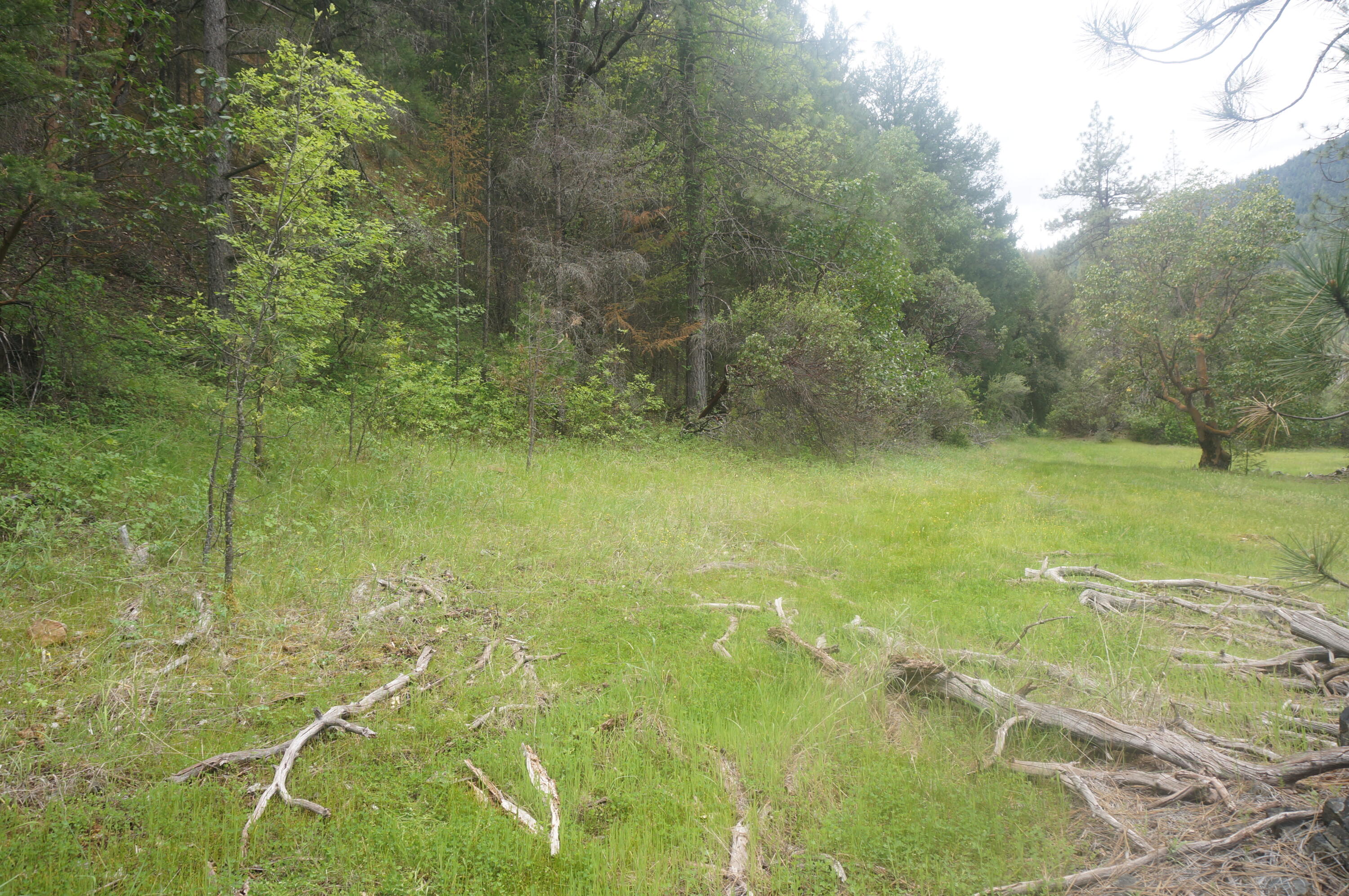 6269 Dutch Creek Road Junction City, CA 96048 - Photo 13 of 33 a view of a yard with an outdoor space