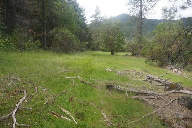 a view of an outdoor space and a yard