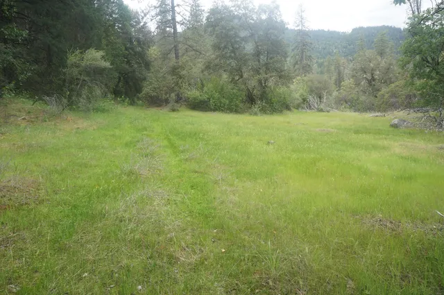 a view of a field with a trees in the background