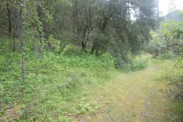 a view of outdoor space and green space