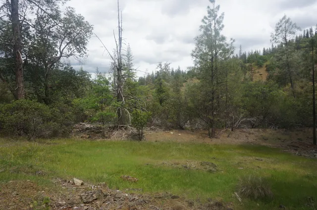 a view of outdoor space and yard