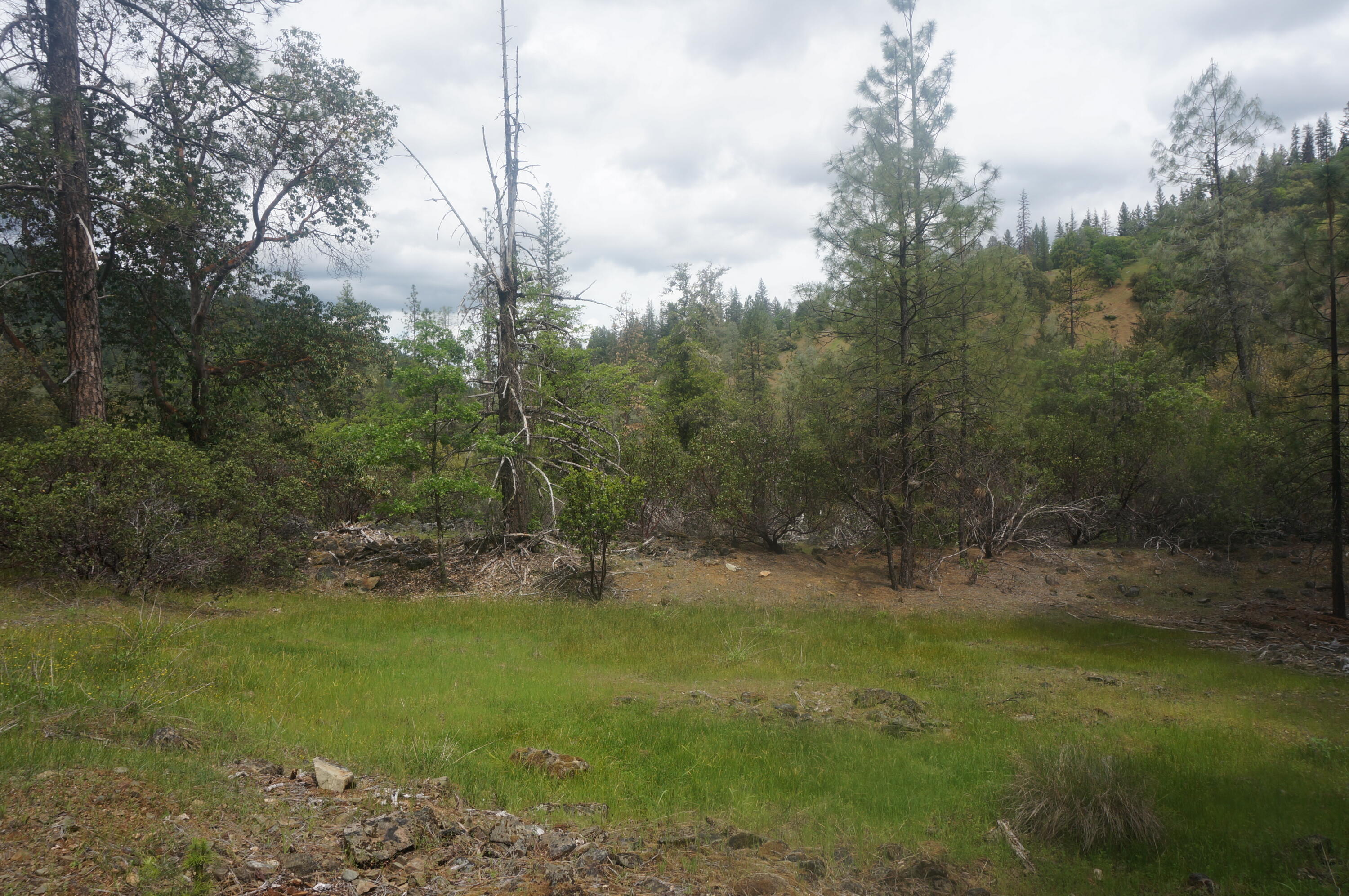6269 Dutch Creek Road Junction City, CA 96048 - Photo 2 of 33 a view of outdoor space and yard