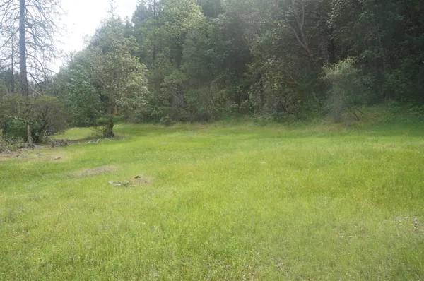 a view of a yard