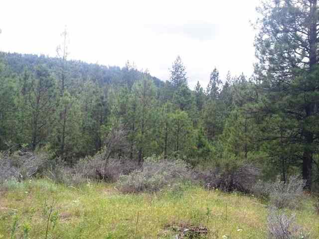 49065 East Cougar Ridge East Ford, WA 99013 - Photo 9 of 11 Gallery Image 9