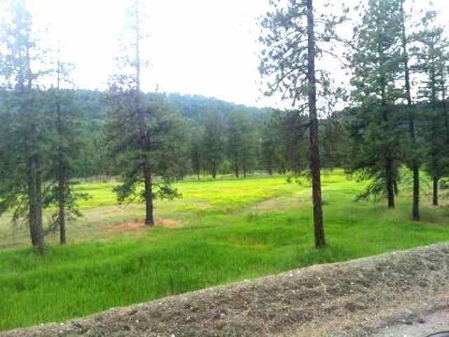 49065 East Cougar Ridge East Ford, WA 99013 - Photo 10 of 11 Gallery Image 10