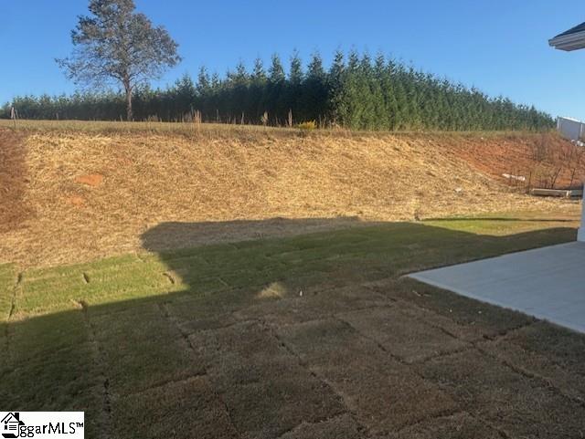 707 Torgerson Way Greenville, SC 29607 - Photo 3 of 21