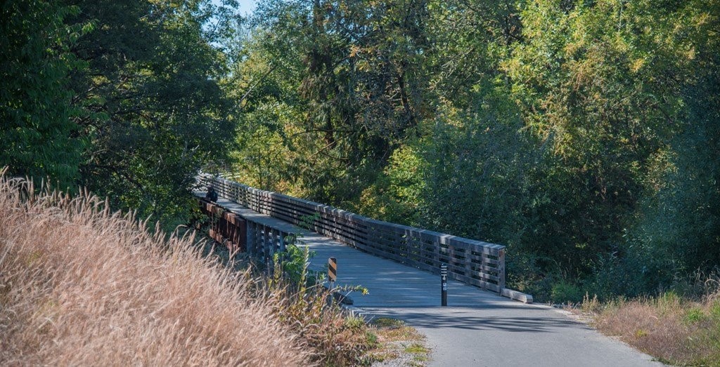 1001 Northeast Briarcreek Way Hillsboro, OR 97006 - Photo 12 of 19 a view of a backyard with plants and trees