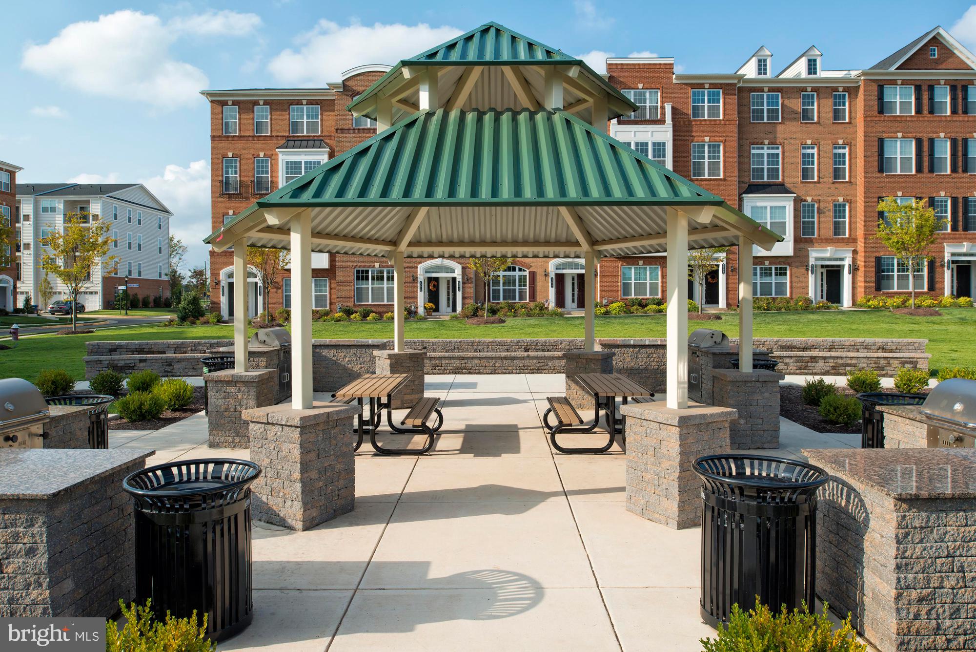 43022 Vernon Ridge Terrace Ashburn, VA 20148 - Photo 15 of 19 Grilling Area
