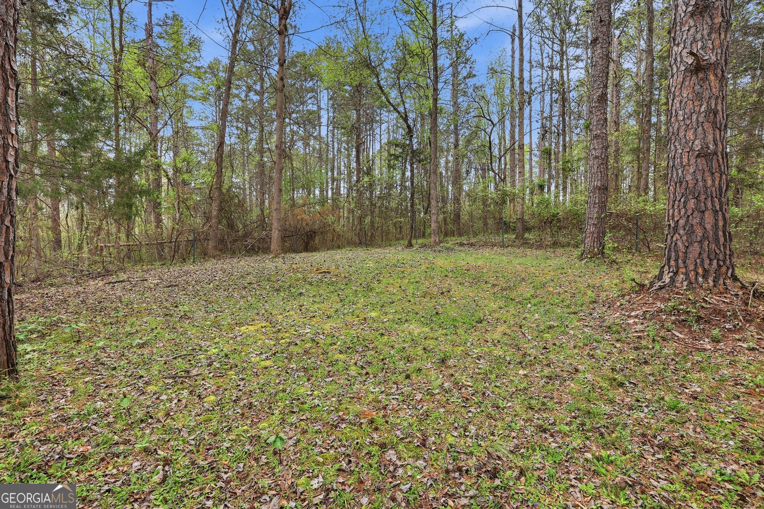 2533 McFarlin Bridge Road Carnesville, GA 30521 - Photo 31 of 35