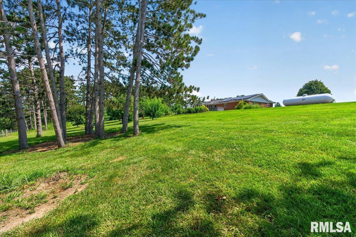 2033 McQueen Road New Berlin, IL 62670 - Photo 28 of 63 Gallery Image 28