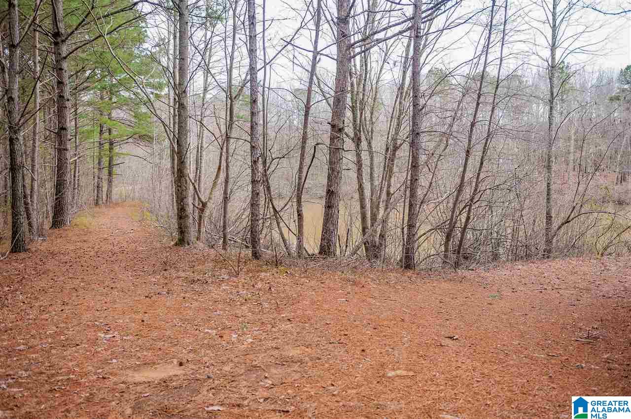 1085 Jones Chapel Loop Springville, AL 35146 - Photo 24 of 32