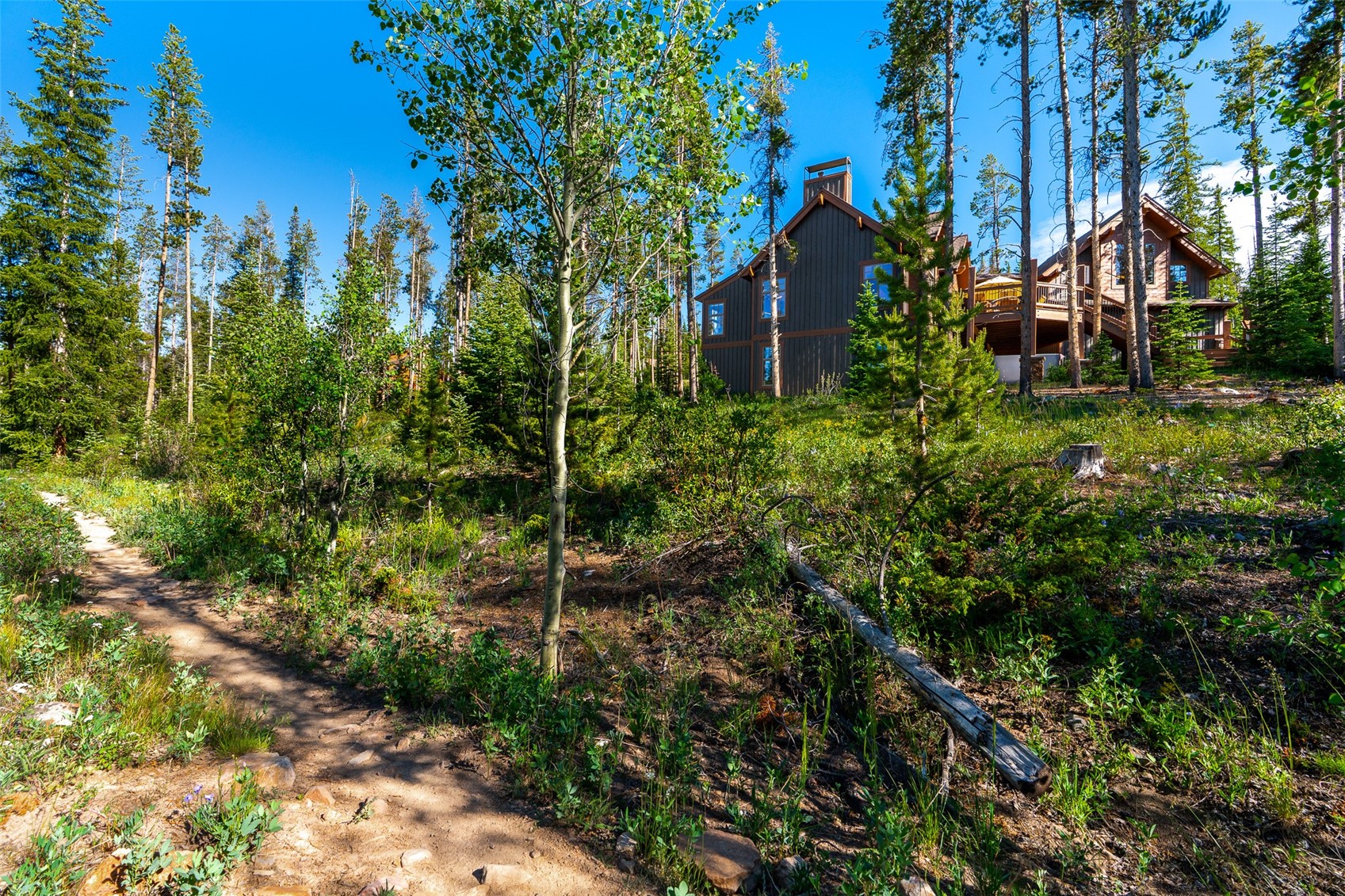 123 Westerman Road Breckenridge, CO 80424 - Photo 42 of 45