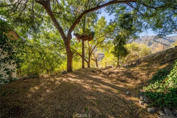 a view of empty space with trees