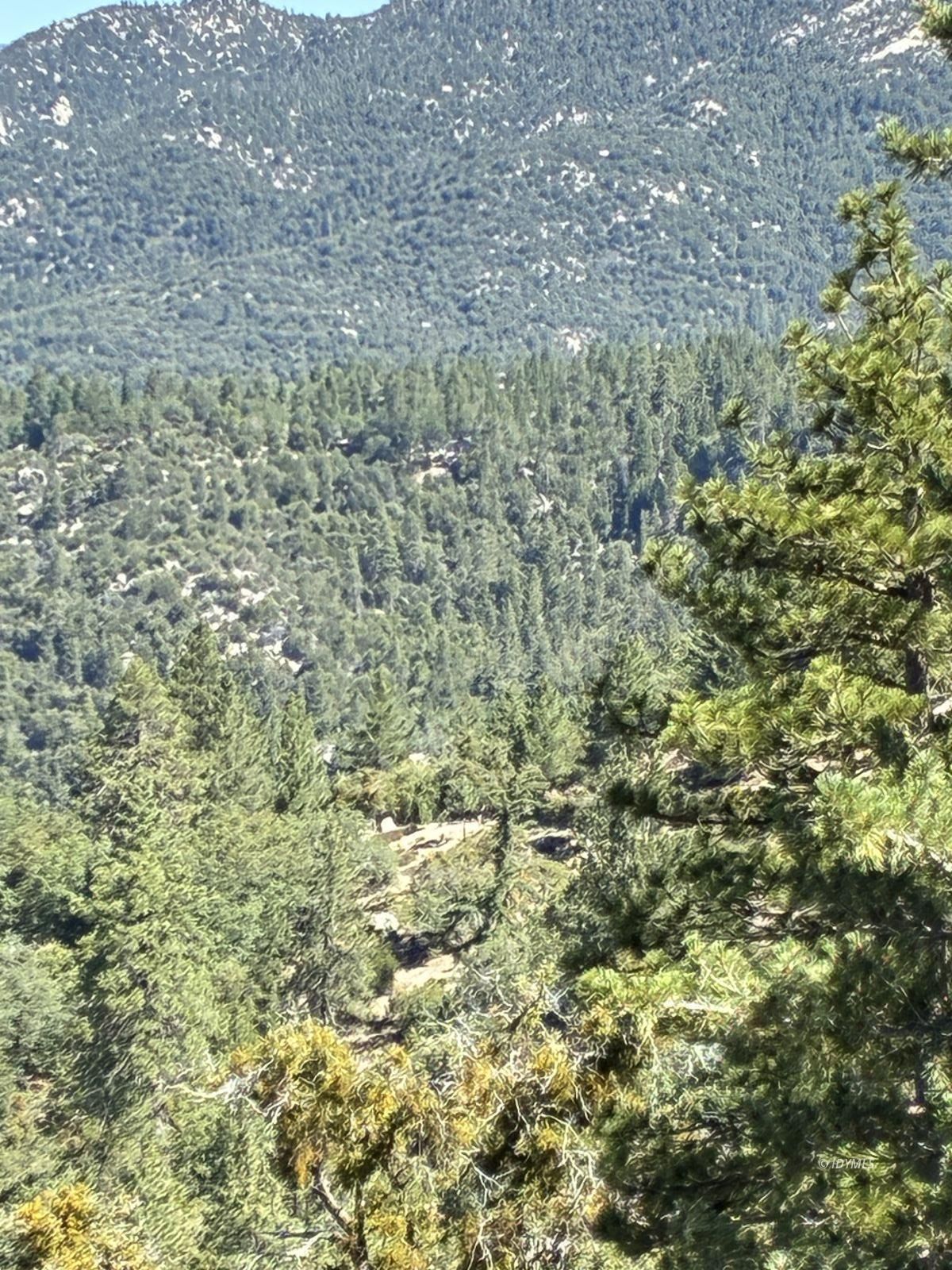 24930 Pine Cove Road Idyllwild, CA 92549 - Photo 5 of 25 Untitled
