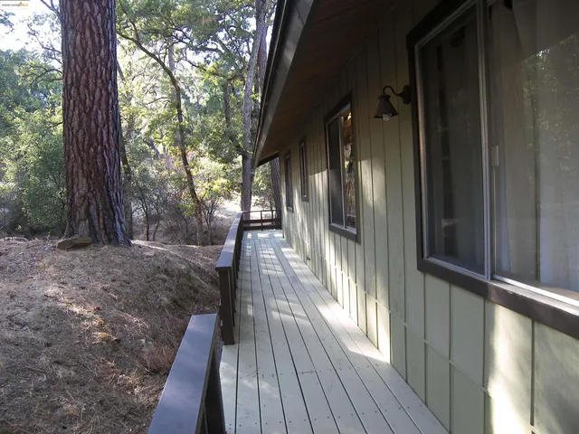a view of a yard with trees