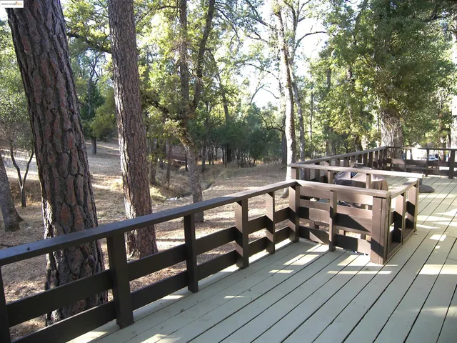 a view of a yard with large trees